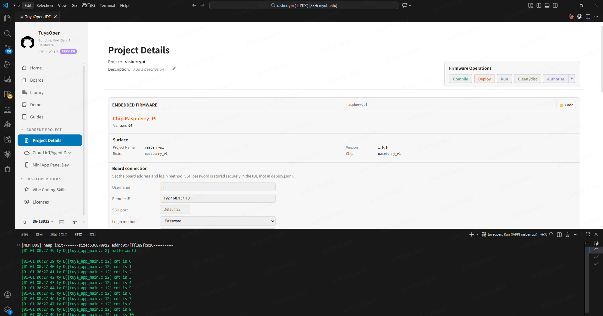 Run — dedicated SSH terminal runs in the foreground and prints hello world at the end