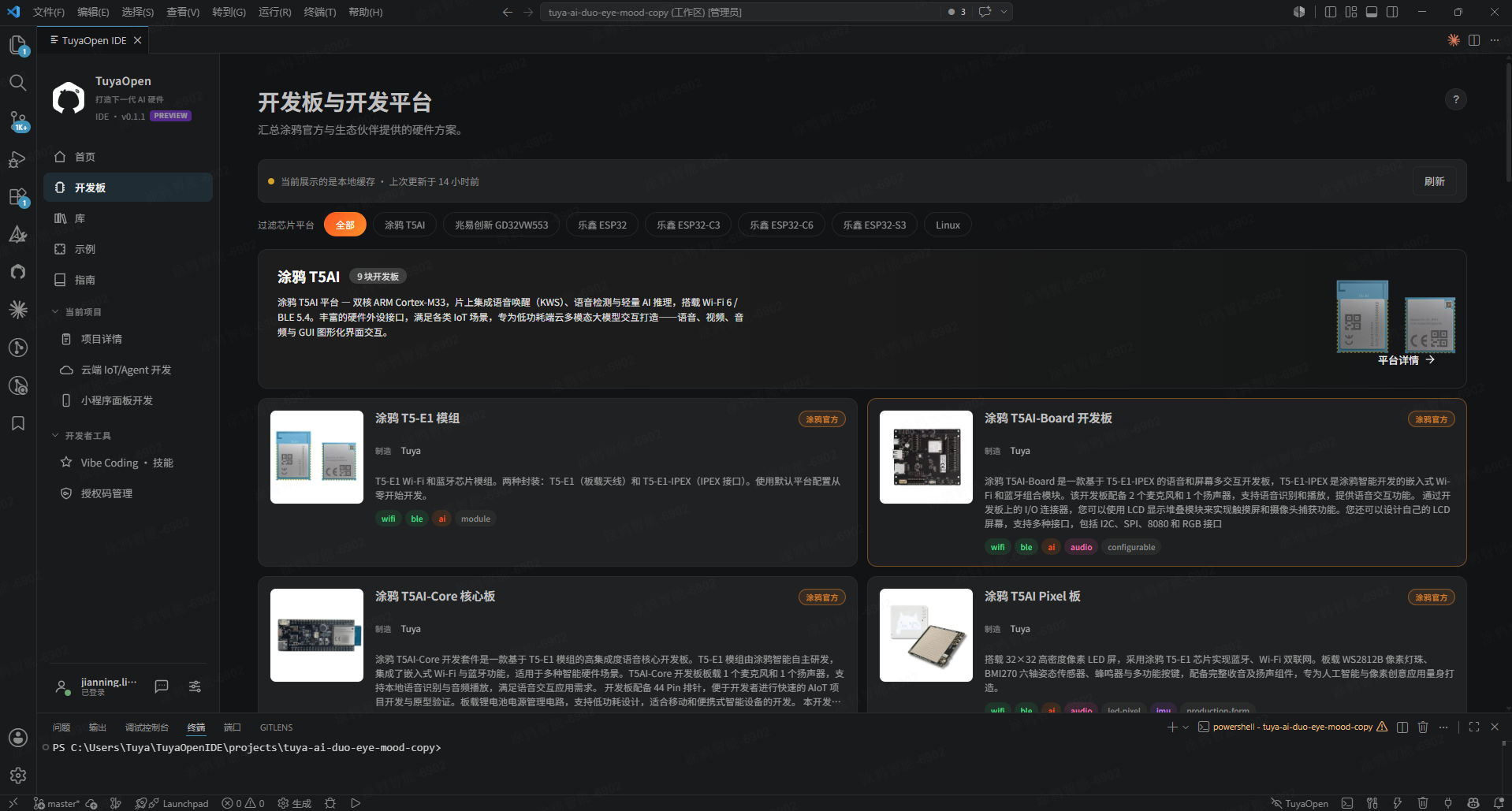 IDE 活动栏中的开发板目录图标