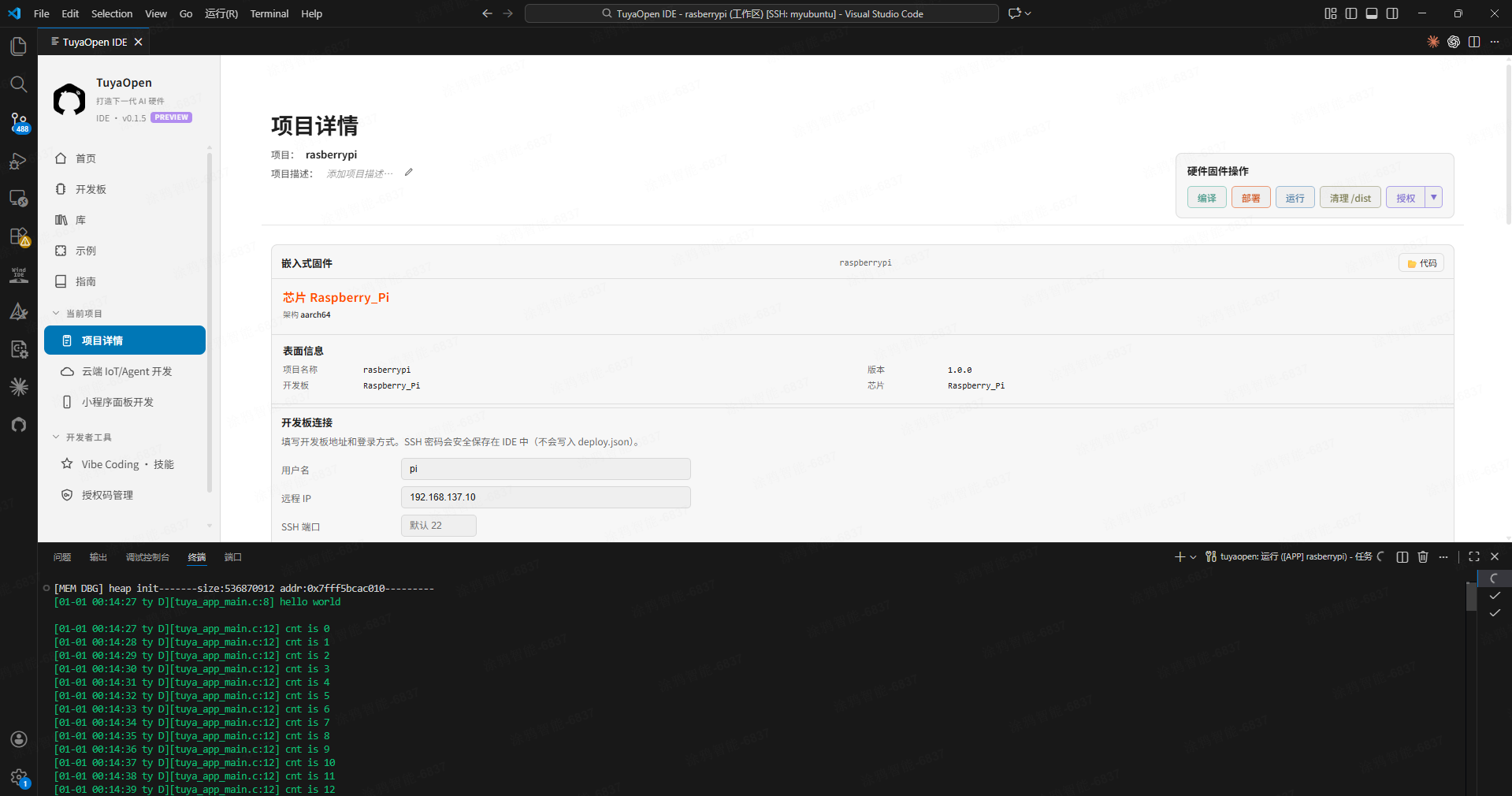 运行——专用 SSH 终端前台执行,末尾打印 hello world